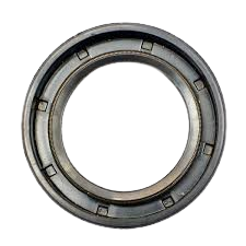 Crankshaft Seal